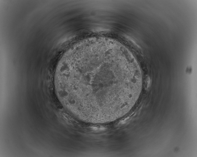 X0000100340917200807031255