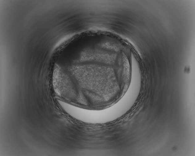 X0000100340919200807031255