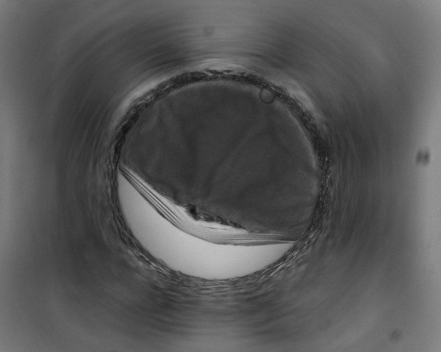 X0000100340920200807031255