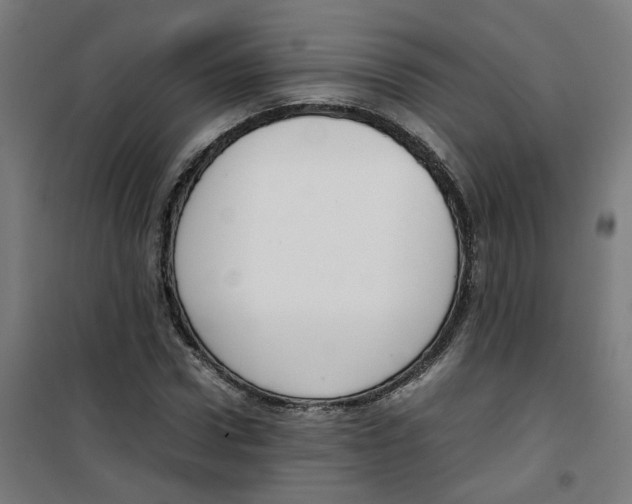 X0000100340922200807031255