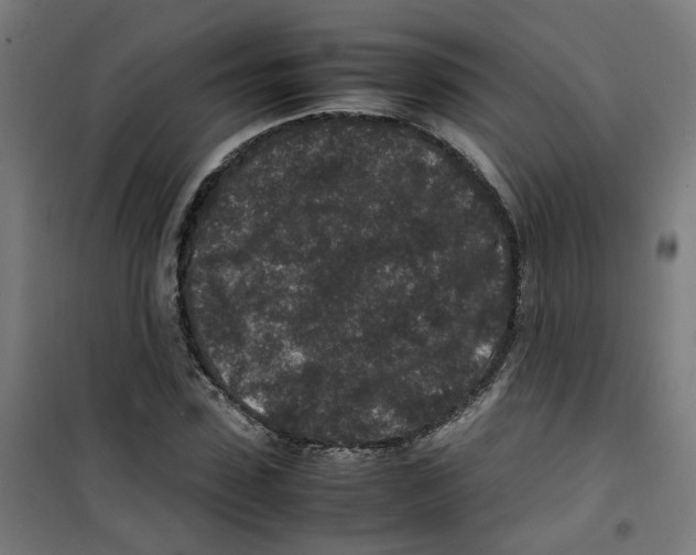 X0000100340923200807031255