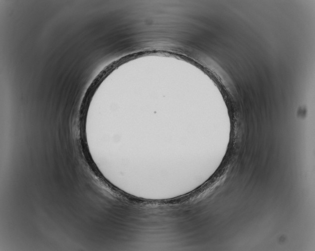 X0000100340924200807031255