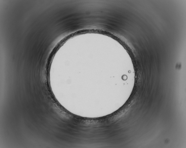 X0000100340927200807031255