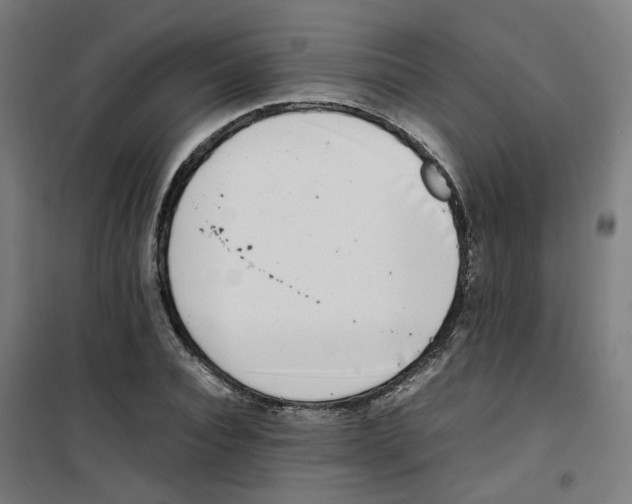 X0000100340928200807031255