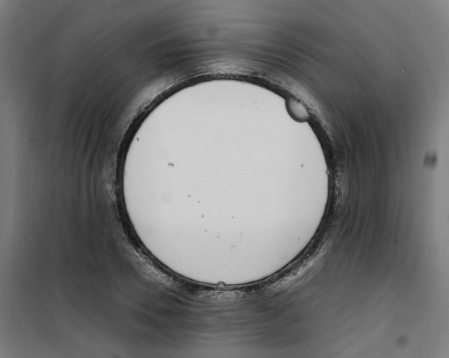 X0000100340930200807031255