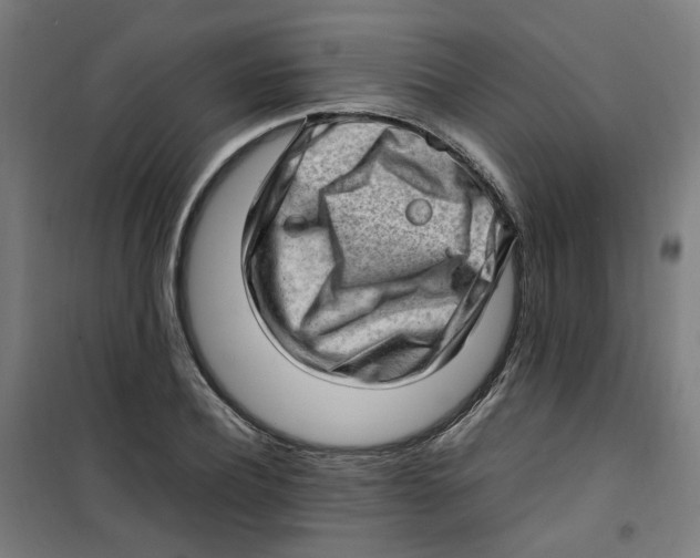 X0000100340932200807031255