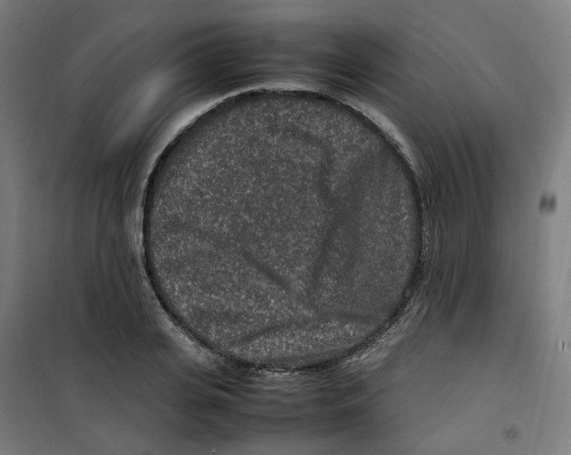 X0000100340935200807031255