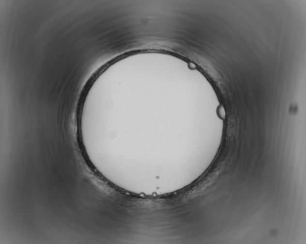 X0000100340936200807031255