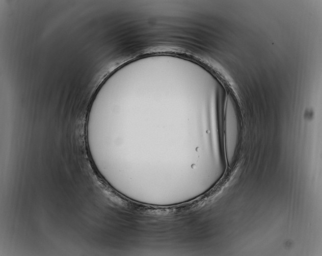 X0000100340937200807031255