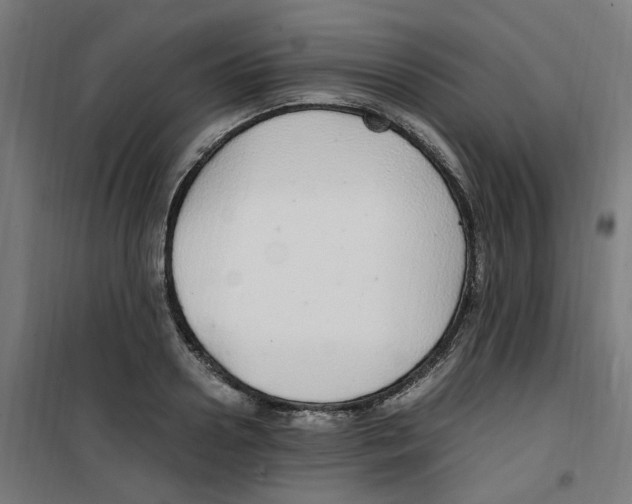 X0000100340938200807031255