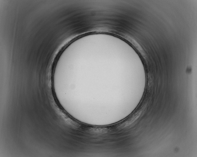 X0000100340939200807031255