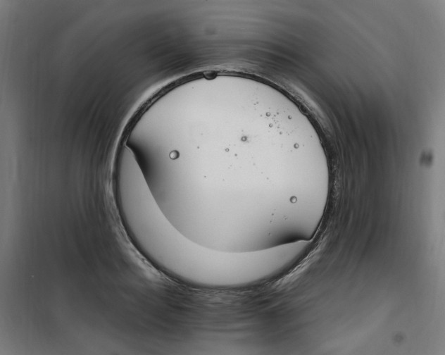 X0000100340940200807031255