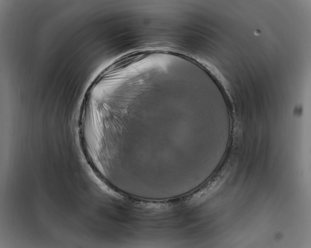 X0000100340941200807031255