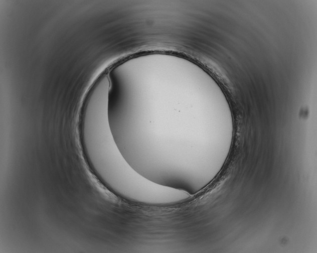 X0000100340942200807031255