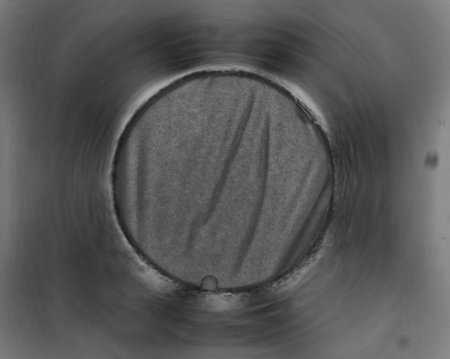 X0000100340943200807031255