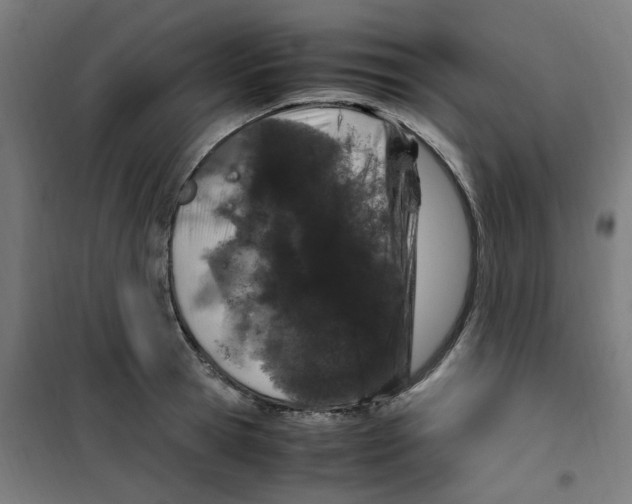 X0000100340945200807031255