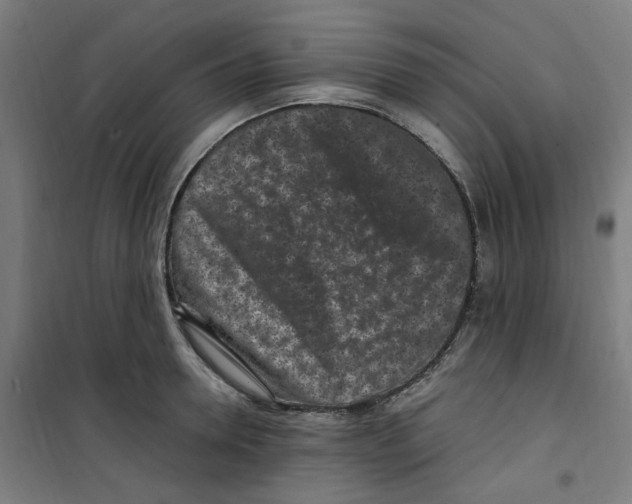 X0000100340946200807031255