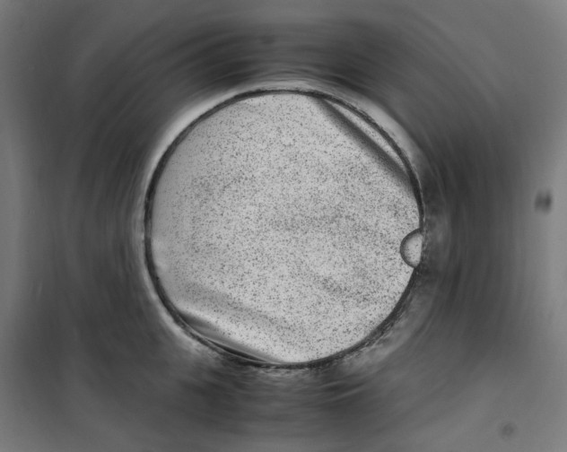 X0000100340951200807031255