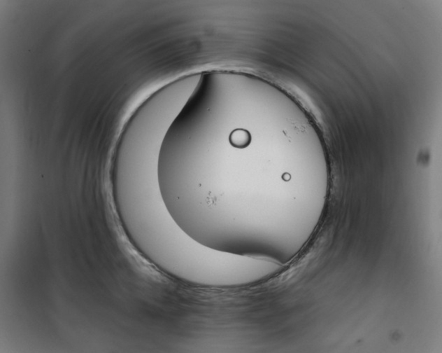 X0000100340952200807031255