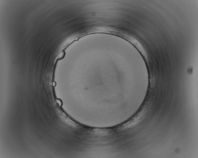 X0000100340954200807031255