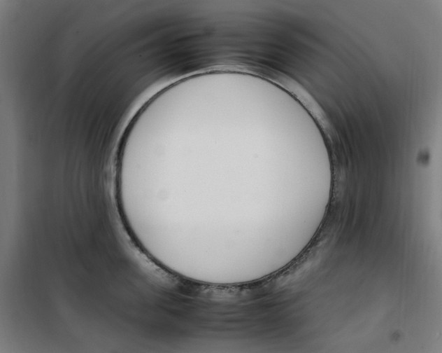 X0000100340955200807031255