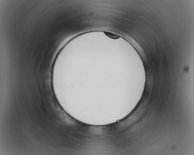 X0000100340956200807031255