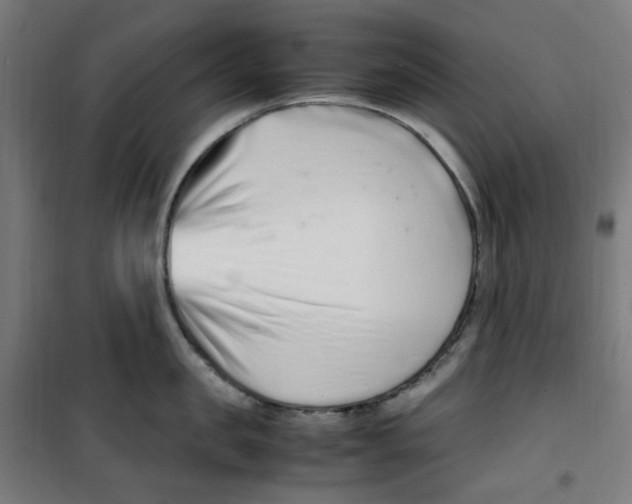 X0000100340957200807031255