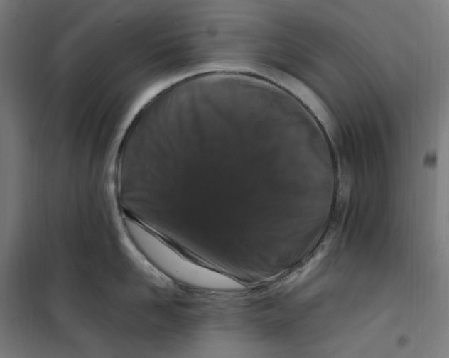 X0000100340958200807031255