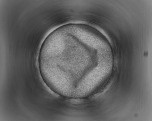 X0000100340959200807031255