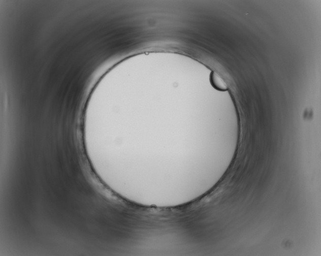 X0000100340960200807031255