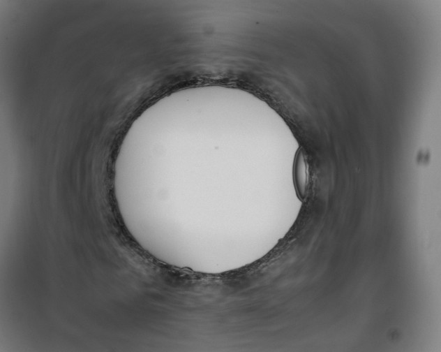 X0000100340961200807031255