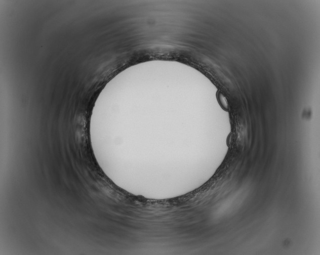 X0000100340964200807031255