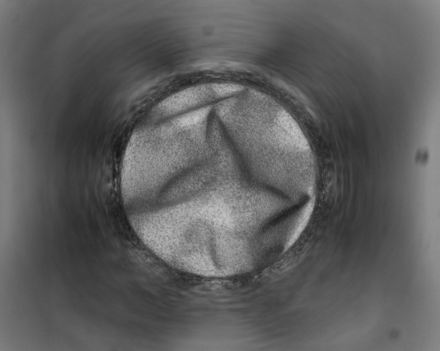 X0000100340966200807031255