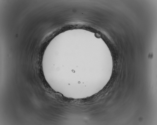 X0000100340967200807031255