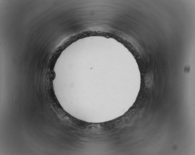 X0000100340968200807031254