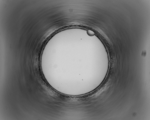 X0000100340969200807031254