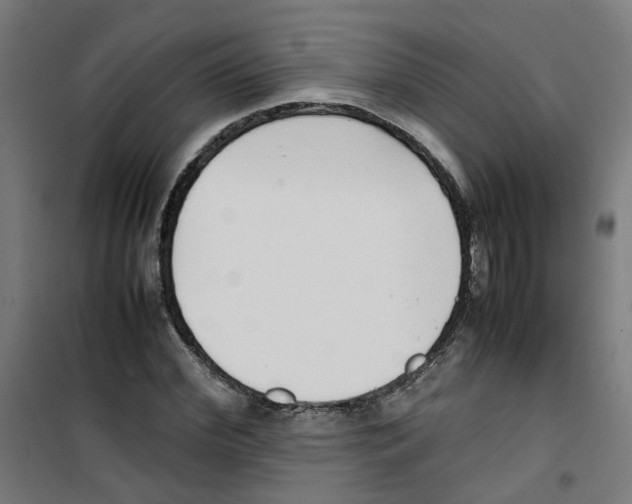 X0000100340972200807031254