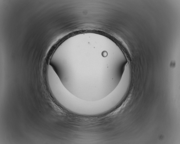 X0000100340973200807031254