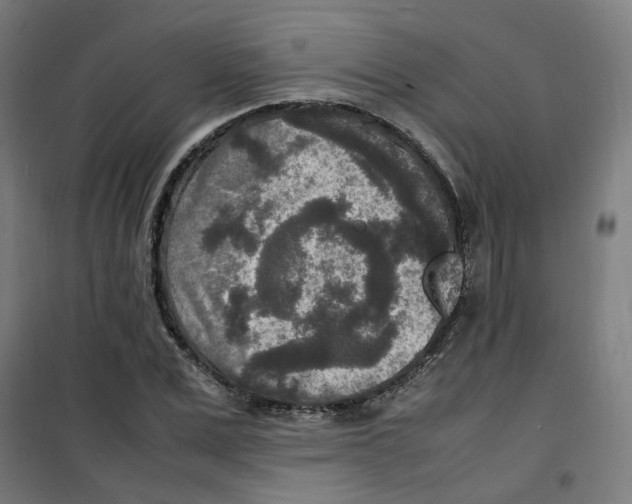 X0000100340975200807031254