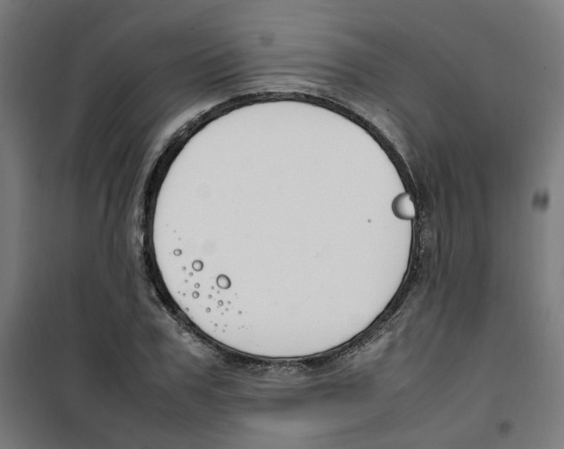 X0000100340979200807031254