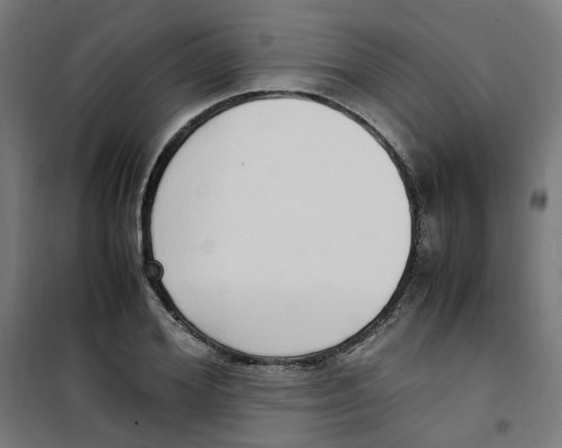 X0000100340980200807031254