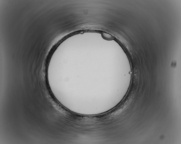 X0000100340981200807031254