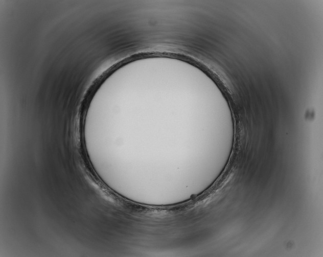 X0000100340982200807031254