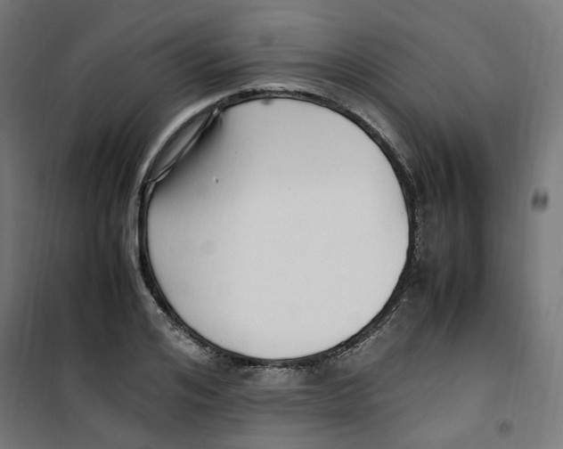 X0000100340984200807031254