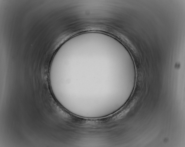 X0000100340985200807031254