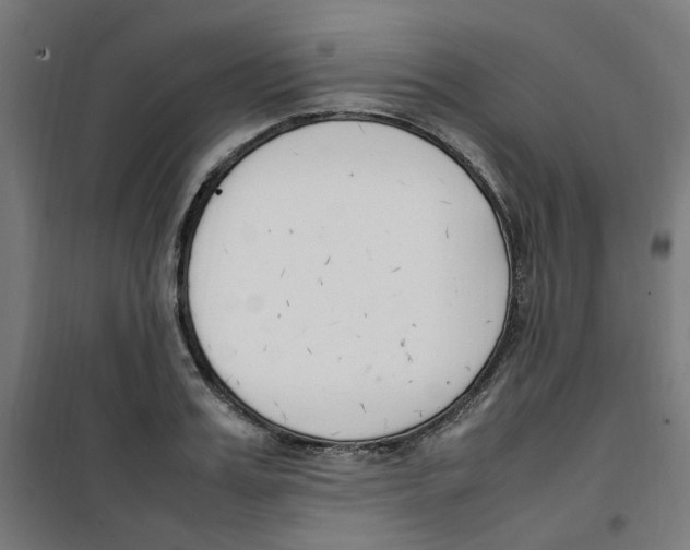 X0000100340987200807031254