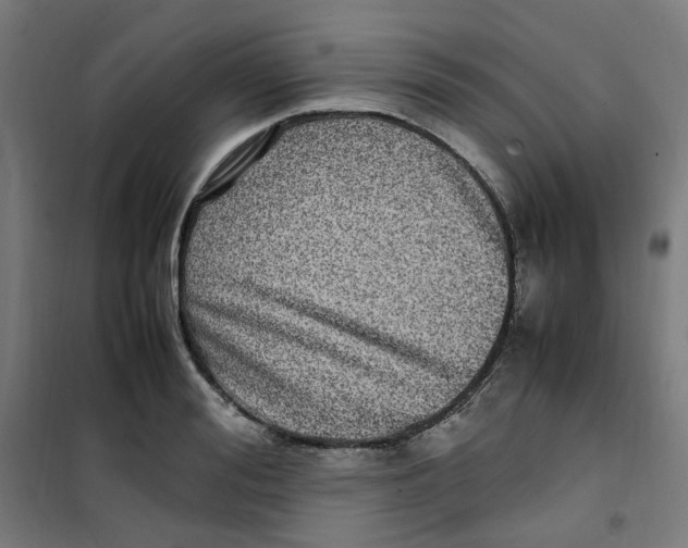 X0000100340988200807031254