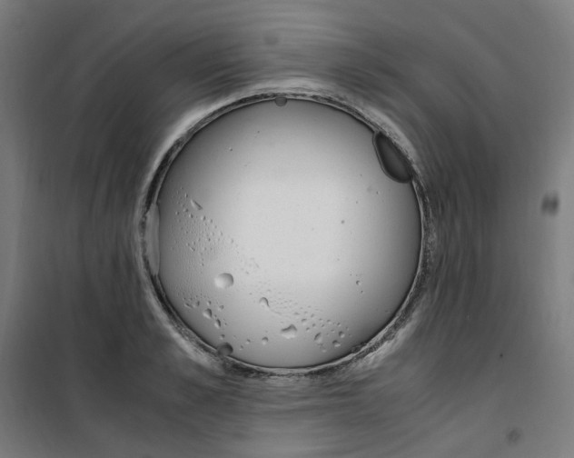 X0000100340989200807031254