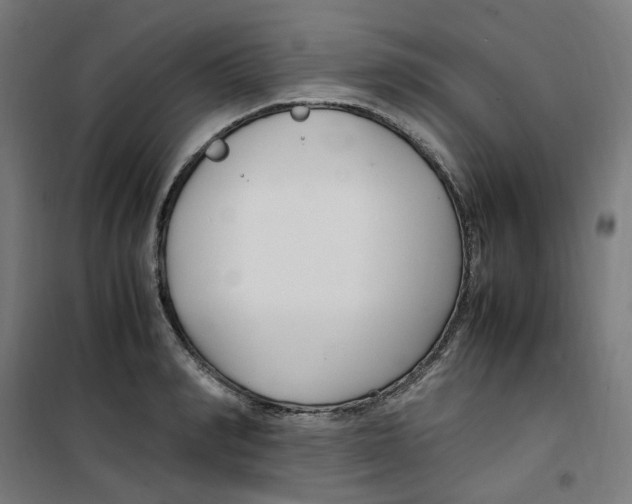 X0000100340990200807031254