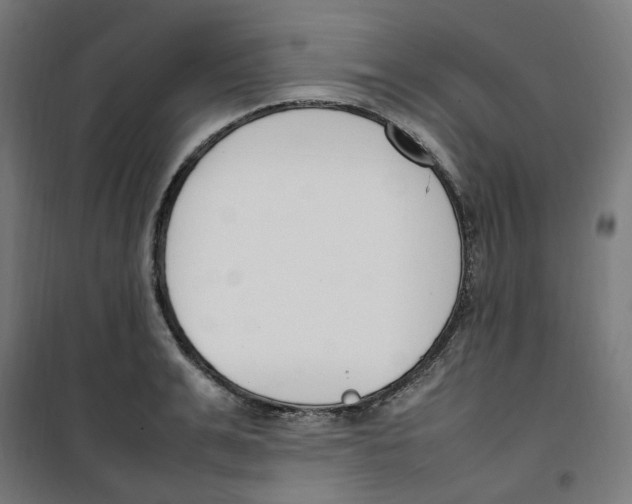 X0000100340991200807031254